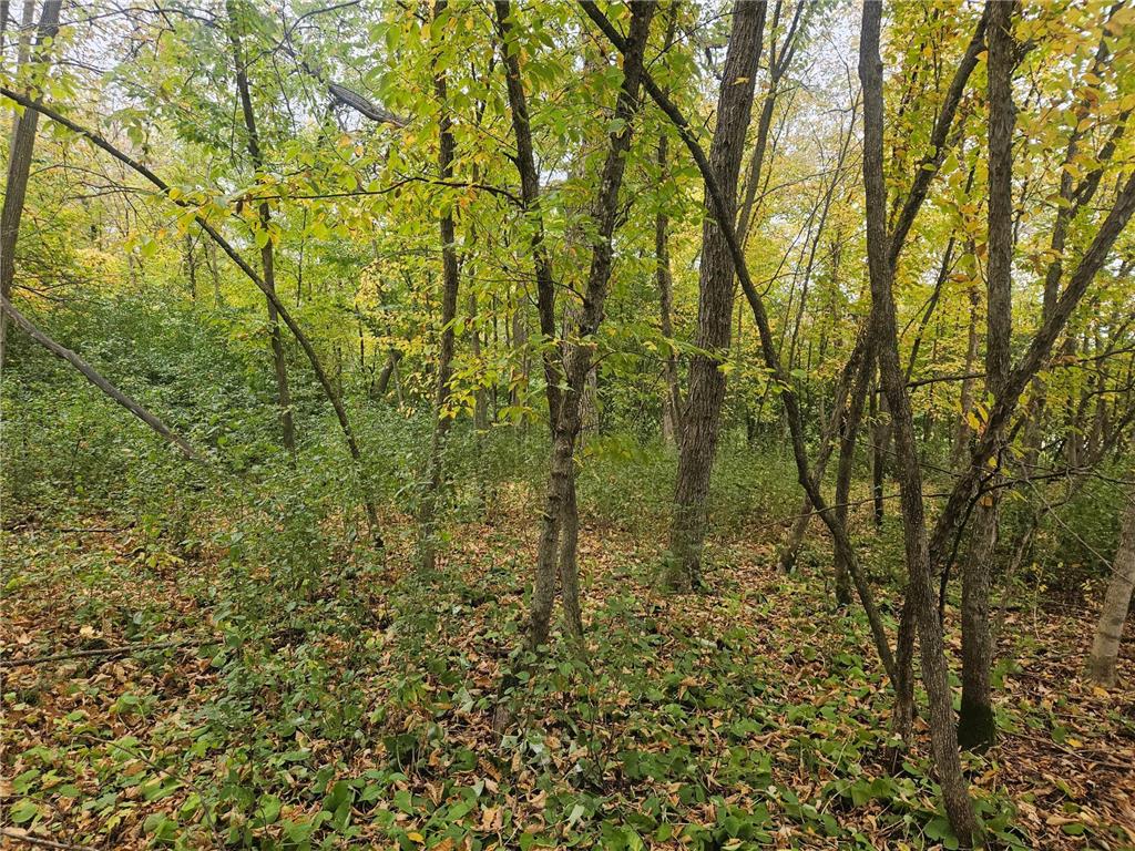 1077 S Shore Drive Detroit Lakes MN 56501 6798079 image4