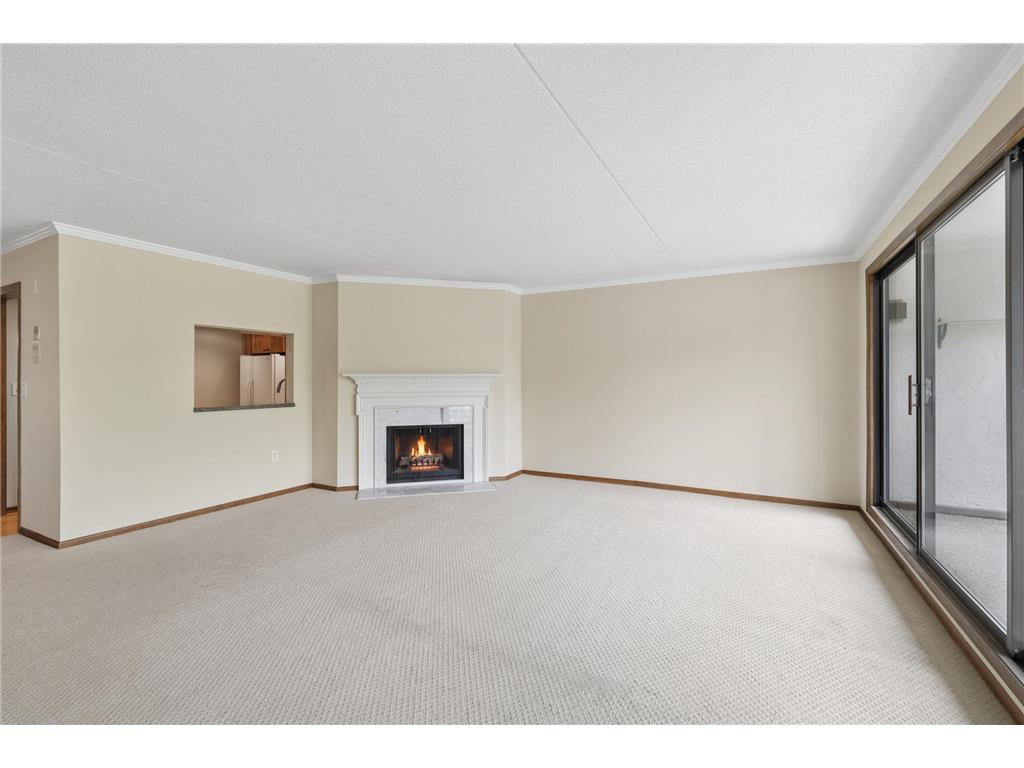 1077 Sibley Memorial Highway #504 Lilydale MN 55118 - Mississippi 7075968 image5