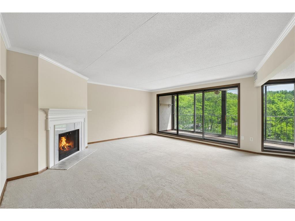 1077 Sibley Memorial Highway #504 Lilydale MN 55118 - Mississippi 7075968 image6