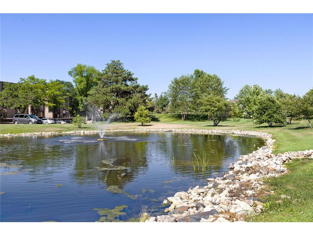 1077 Sibley Memorial Highway #602 Lilydale MN 55118 - Mississippi 7090805 image55