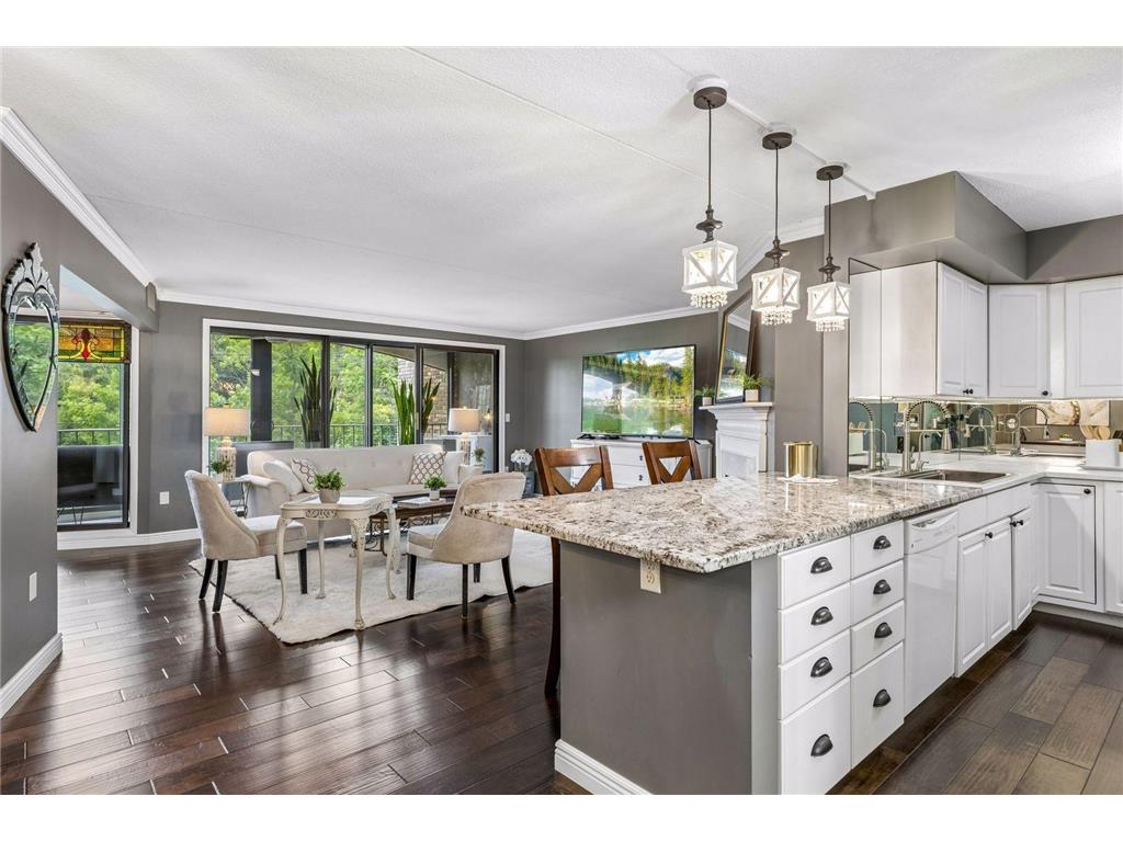 1077 Sibley Memorial Highway #602 Lilydale MN 55118 - Mississippi 7090805 image6