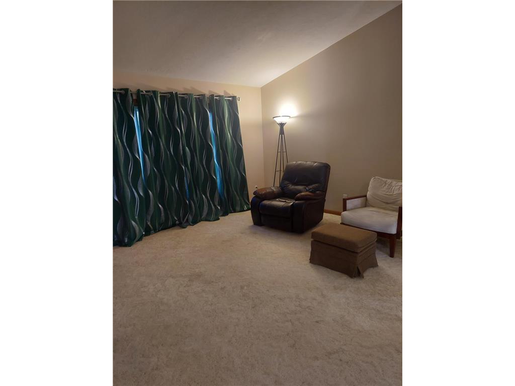 1077 Woodsmen Court NE Alexandria MN 56308 6462410 image9