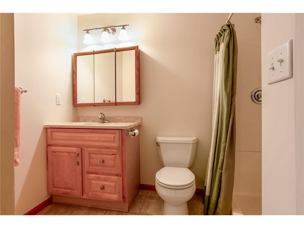 10771 Scott Avenue N Brooklyn Park MN 55443 7059089 image39