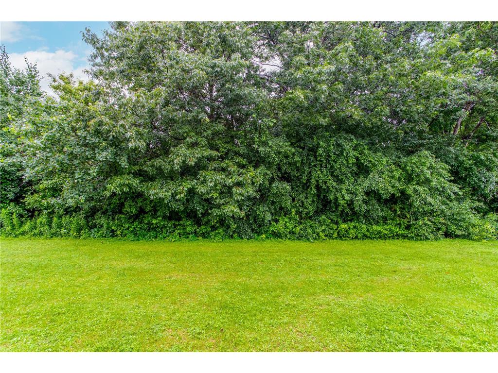 10771 Scott Avenue N Brooklyn Park MN 55443 7059089 image44