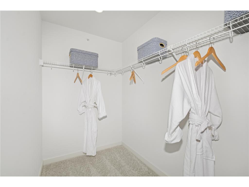 1078 Anmeadle Row Rosemount MN 55068 7063774 image12