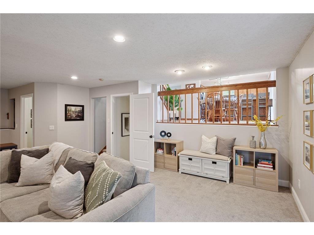 1078 Overlook Drive Chaska MN 55318 6808274 image22