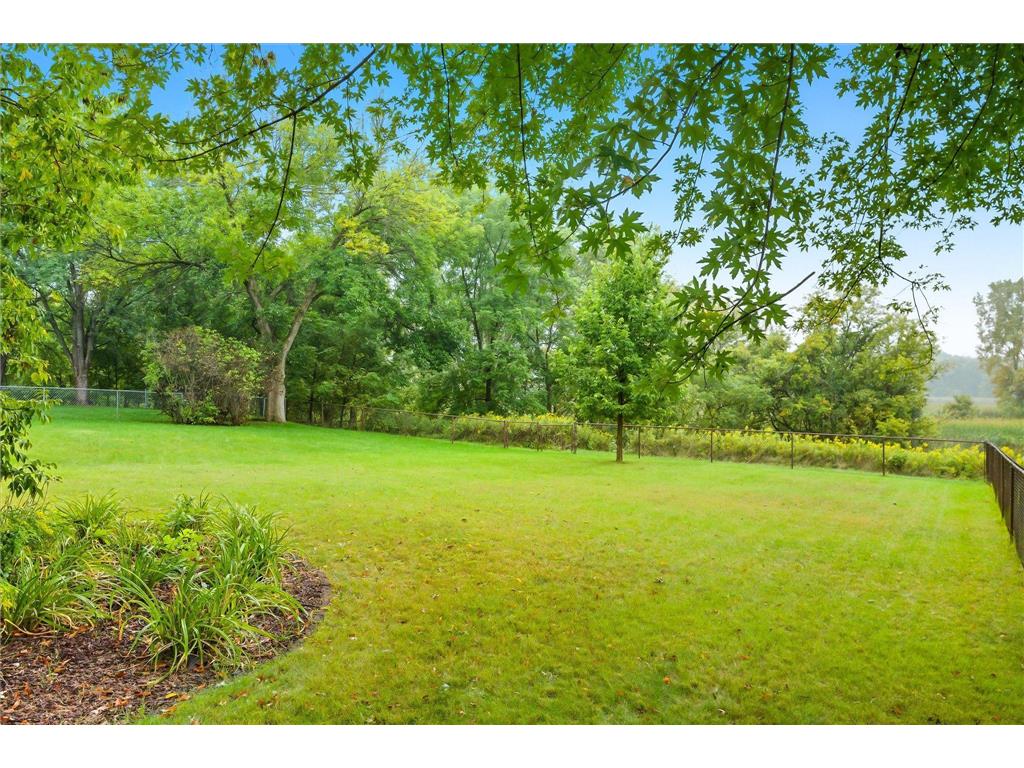10781 Boundary Creek Terrace Maple Grove MN 55369 6750890 image31