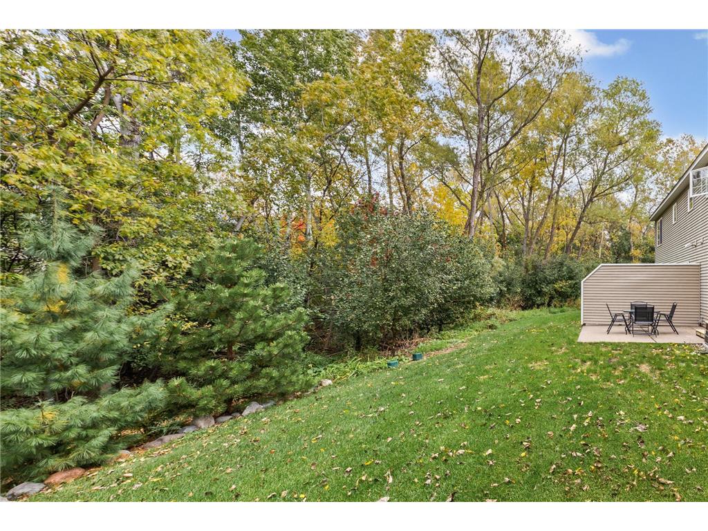 10783 Tamarack Circle NW Coon Rapids MN 55433 7022863 image31