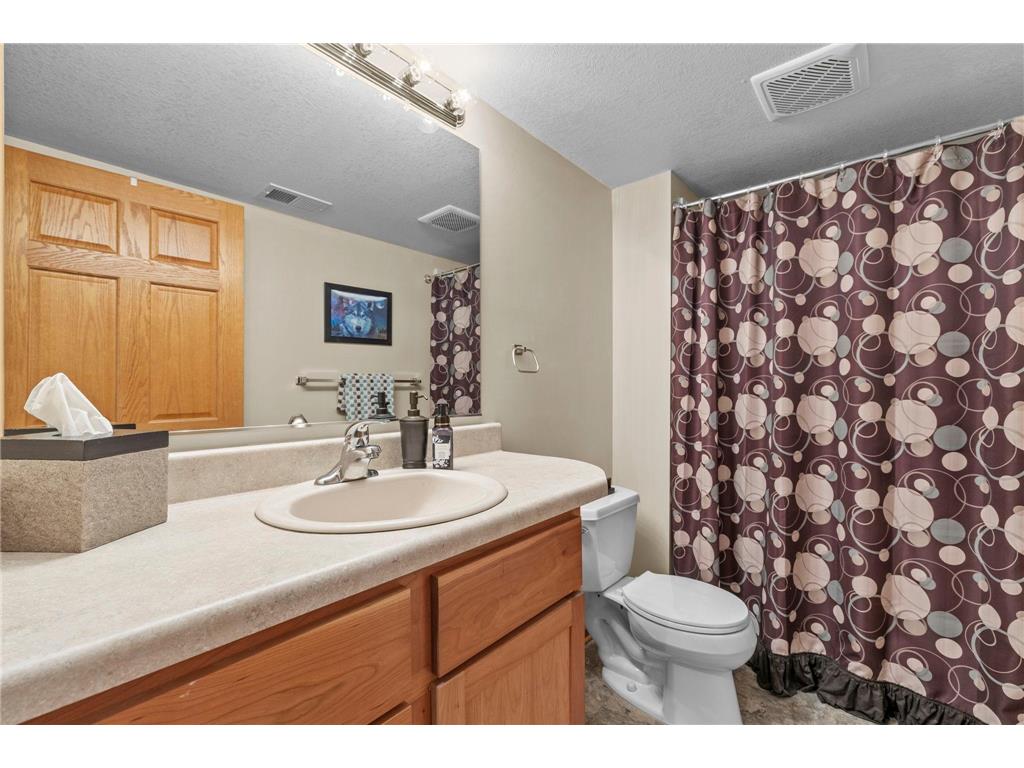 10791 Alberton Way Inver Grove Heights MN 55077 7076956 image43