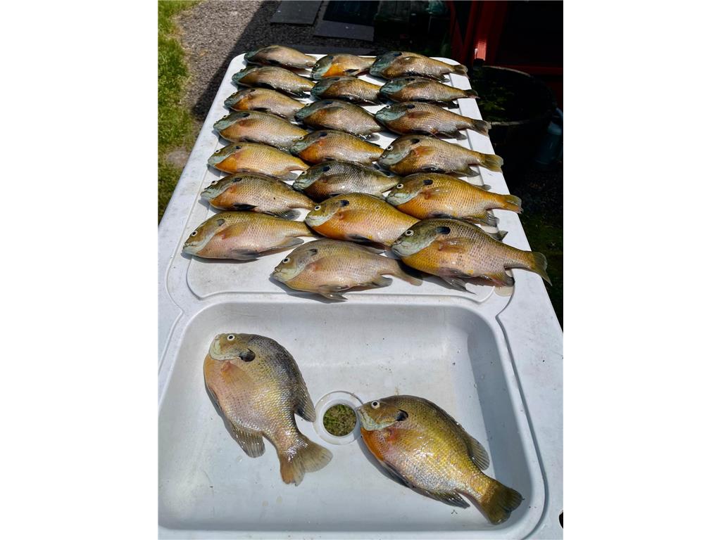 108 Lakota Island Big Stone City SD 57216 - Big Stone Lake 6655750 image23