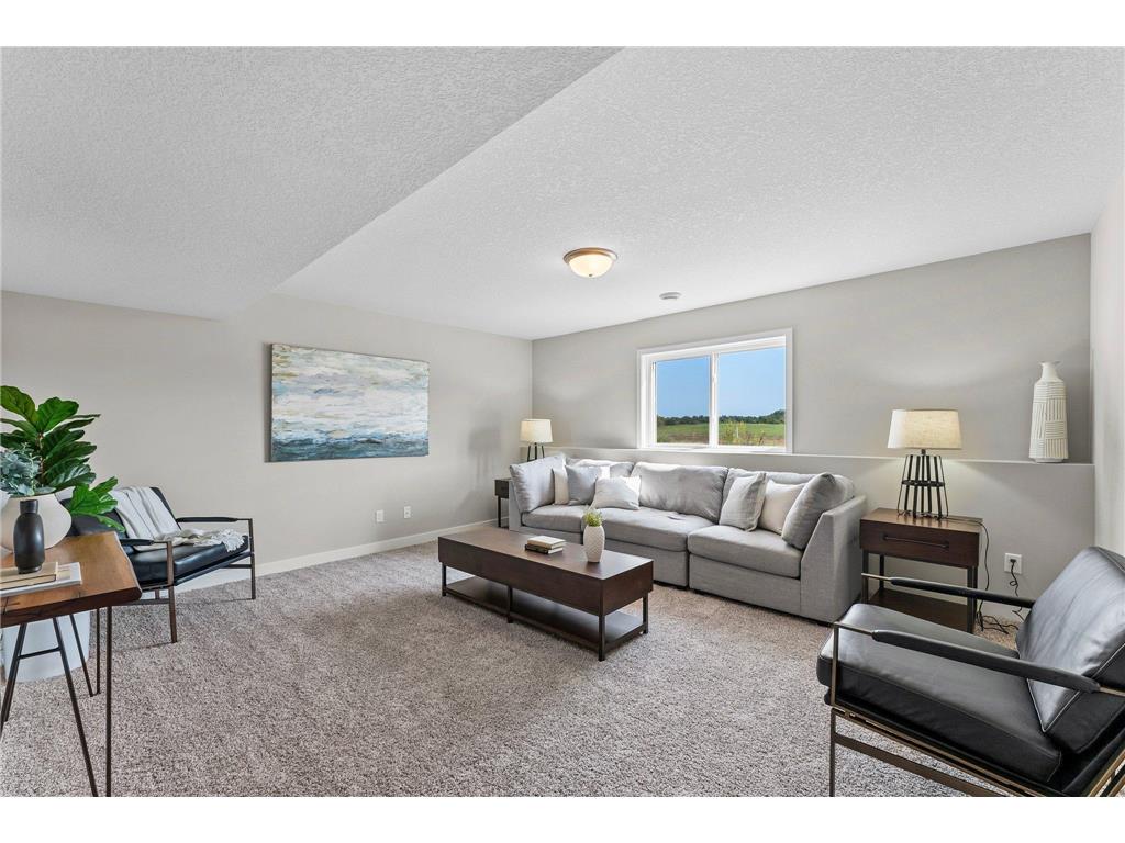 108 Maple Court Cannon Falls MN 55009 6776409 image19