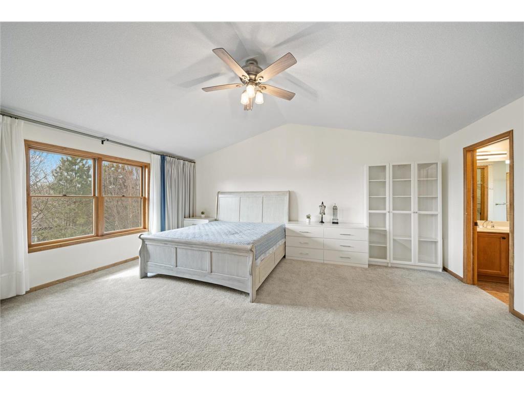 10803 Hawthorn Trail Woodbury MN 55129 7052301 image20