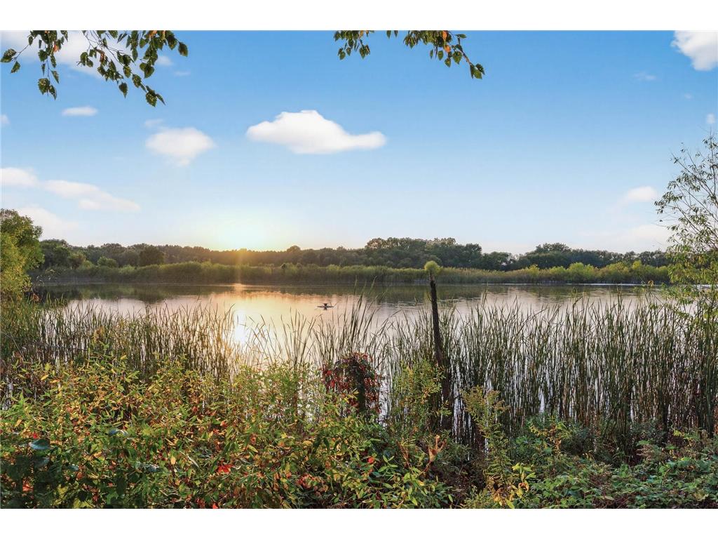 10803 Jersey Drive N Brooklyn Park MN 55445 7040707 image39