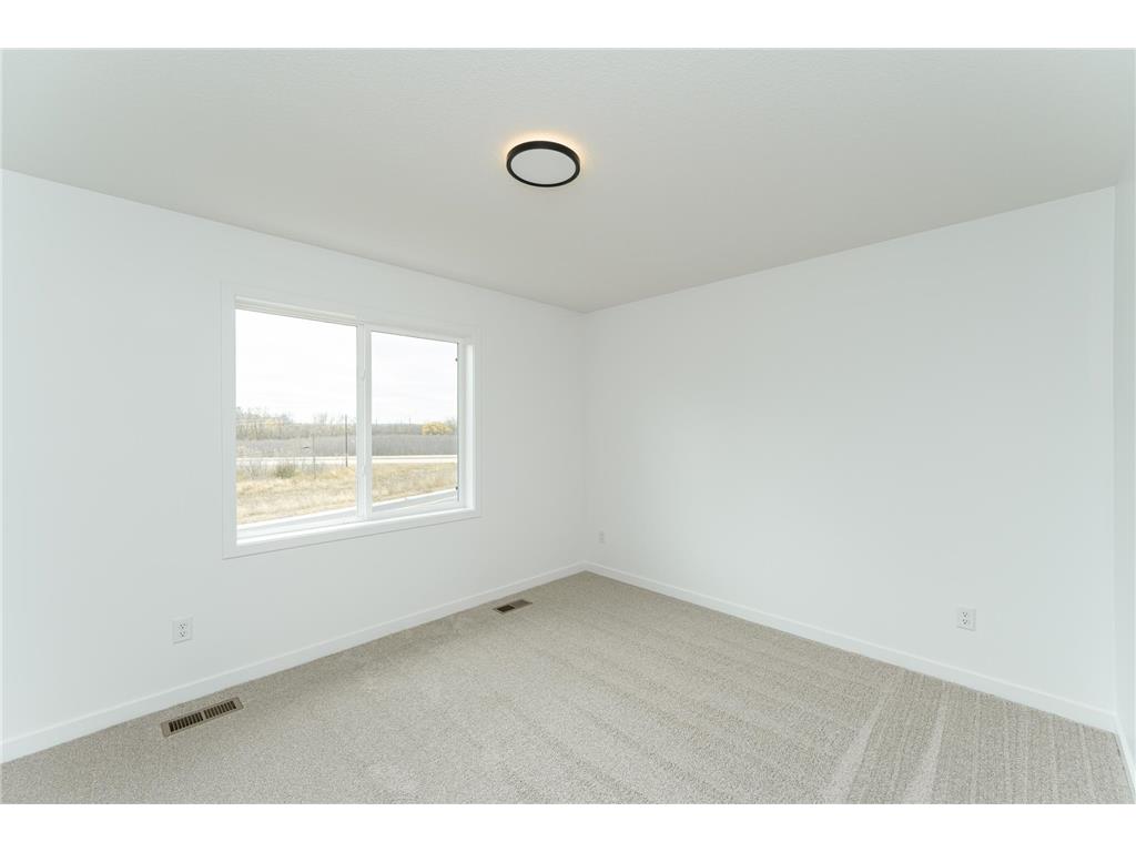 1081 Century Village Lane NE Rochester MN 55906 6807819 image19