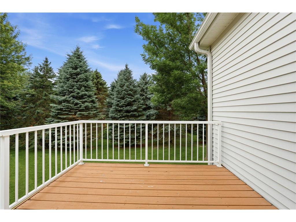 10812 Thone Circle Woodbury MN 55129 7096519 image33