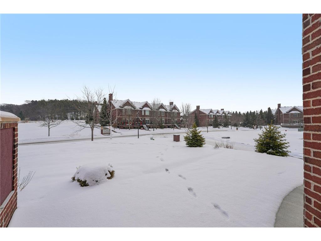 10814 Falling Water Lane #D Woodbury MN 55129 7003929 image46