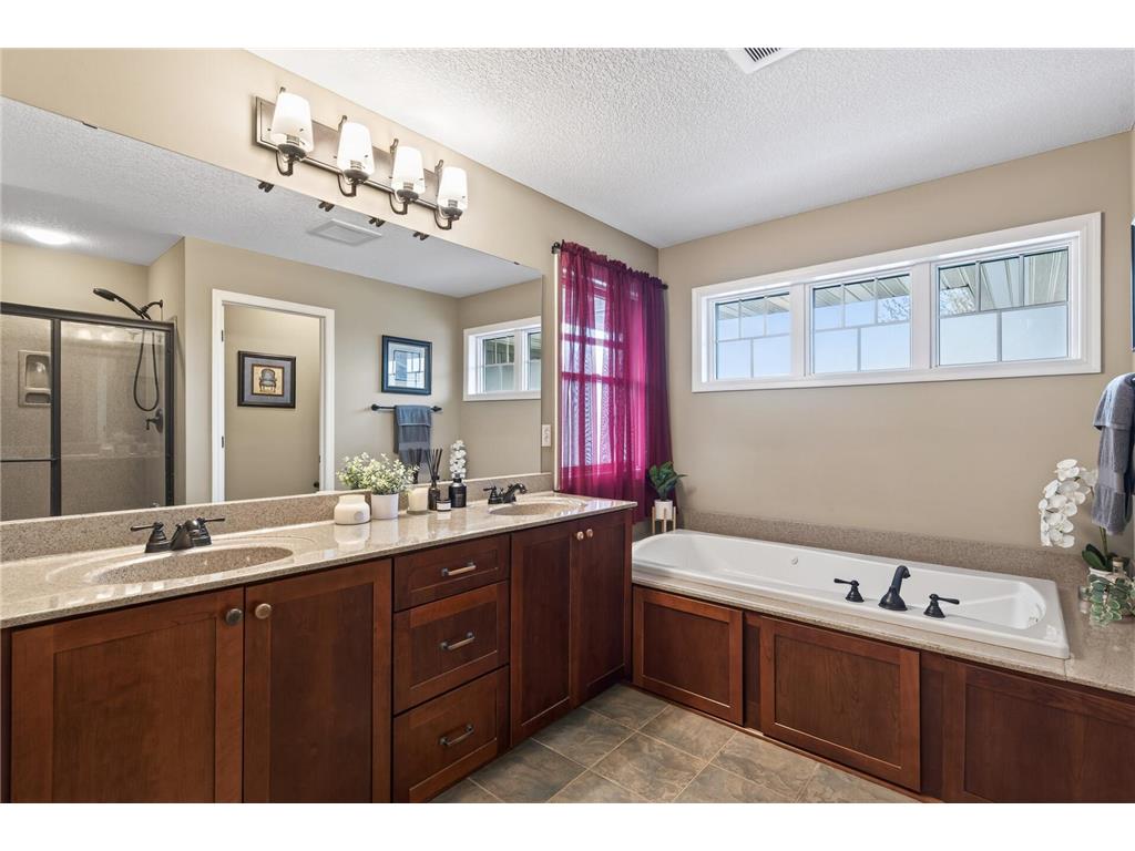 10815 Birch Lane Woodbury MN 55129 7057591 image32
