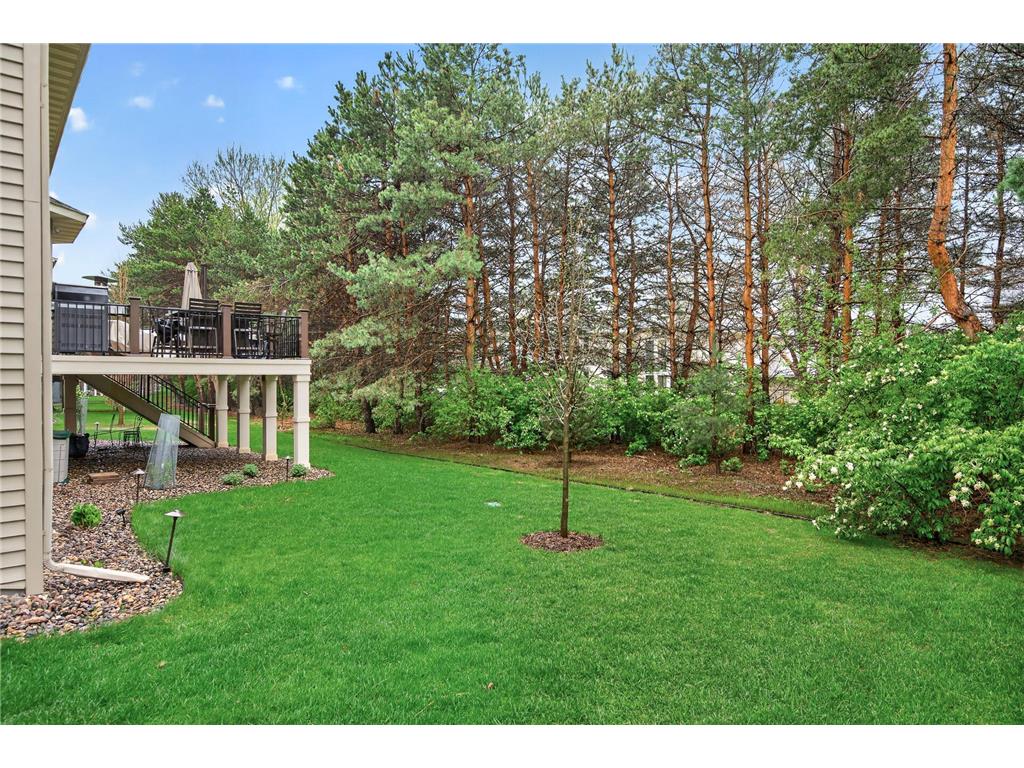10815 Birch Lane Woodbury MN 55129 7057591 image46