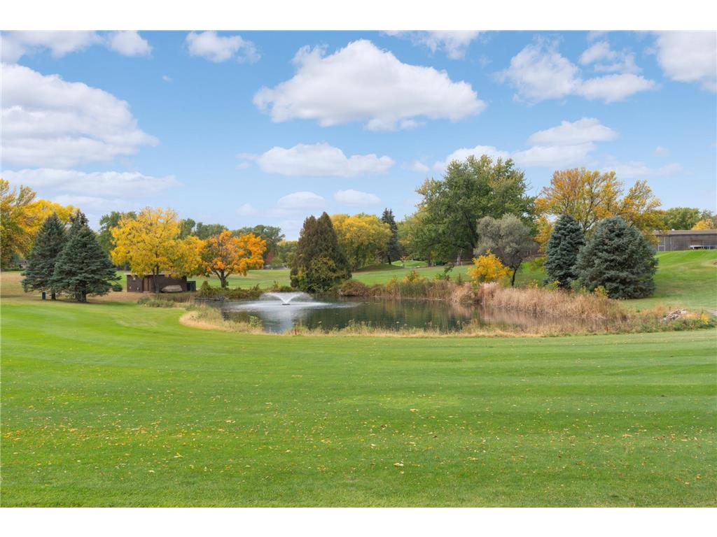 10816 Toledo Circle Bloomington MN 55437 7072431 image32