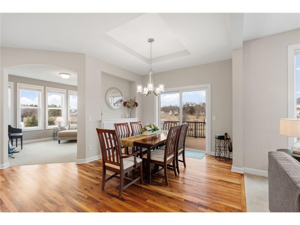 10818 Glenview Place Champlin MN 55316 7048418 image18