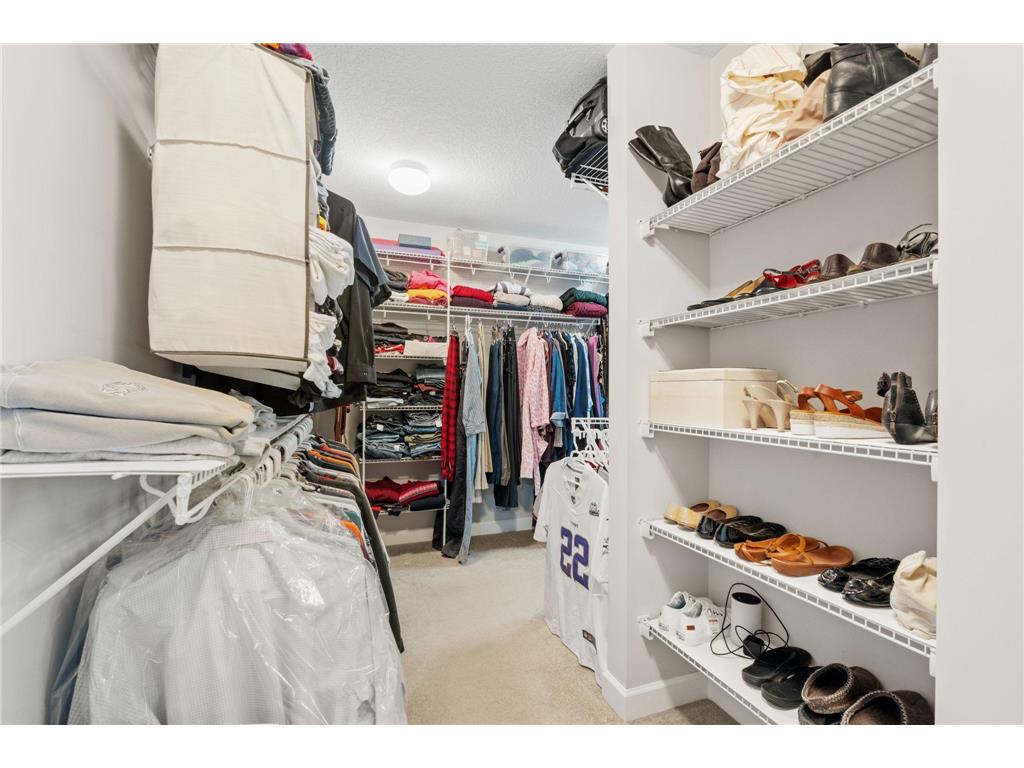 10818 Glenview Place Champlin MN 55316 7048418 image34