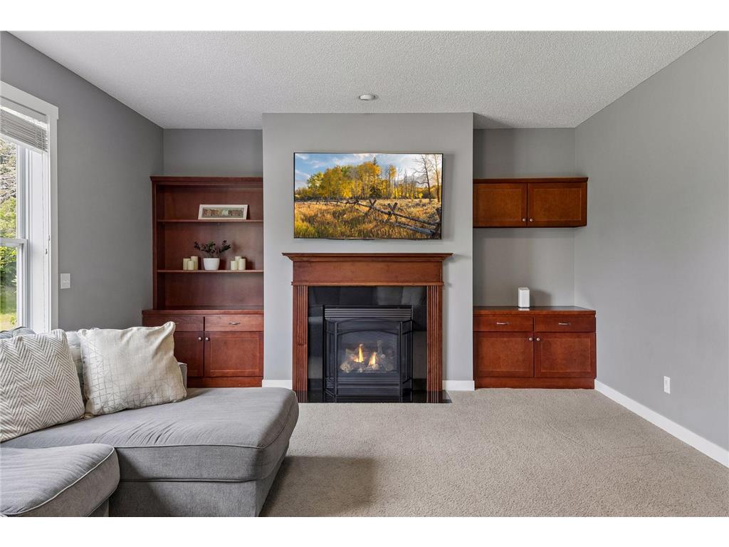 10828 Ashley Lane Woodbury MN 55129 7071408 image25