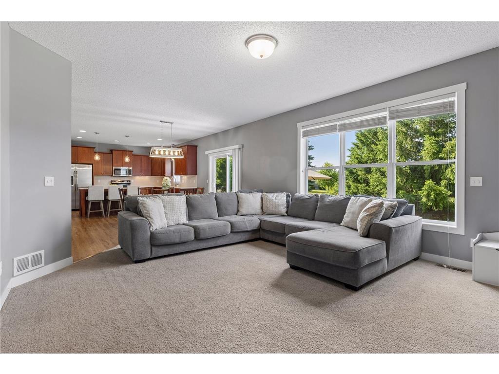10828 Ashley Lane Woodbury MN 55129 7071408 image27