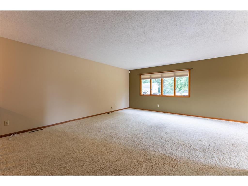 10829 160th Street E Nininger Twp MN 55033 - Vermillion River 7095858 image25