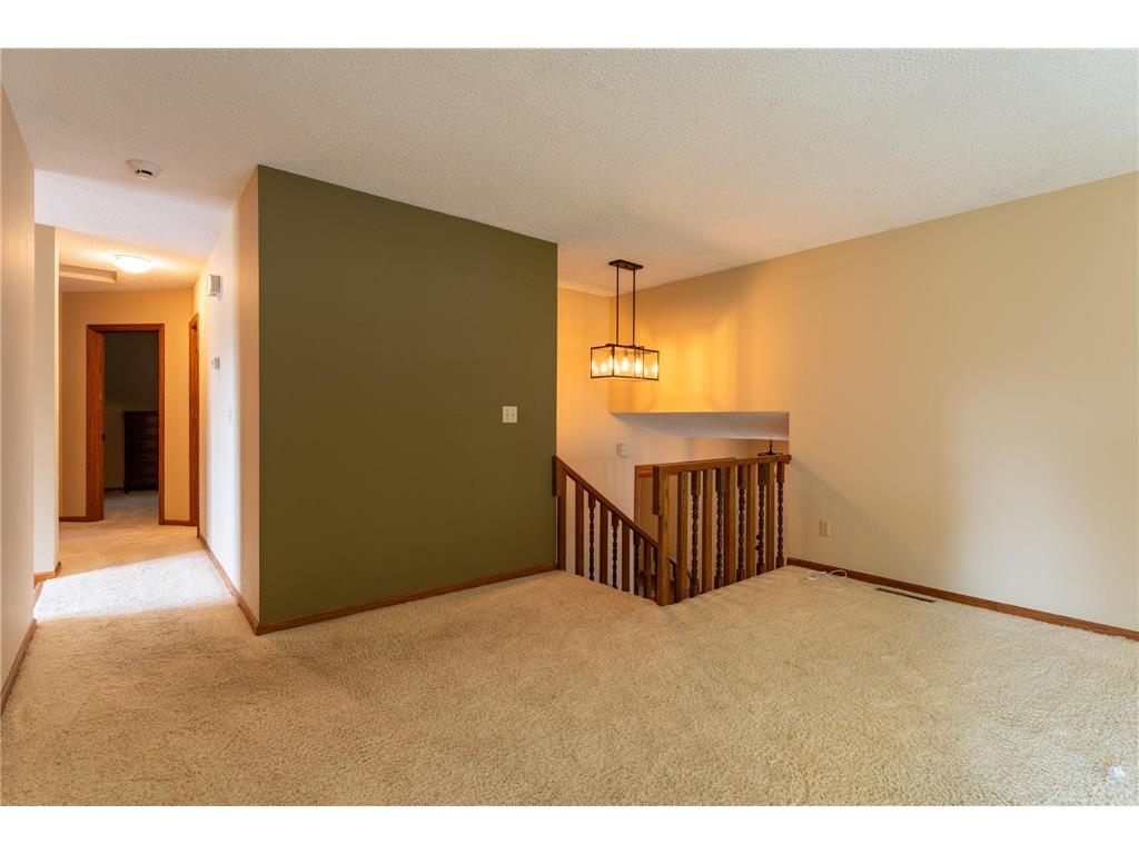 10829 160th Street E Nininger Twp MN 55033 - Vermillion River 7095858 image26