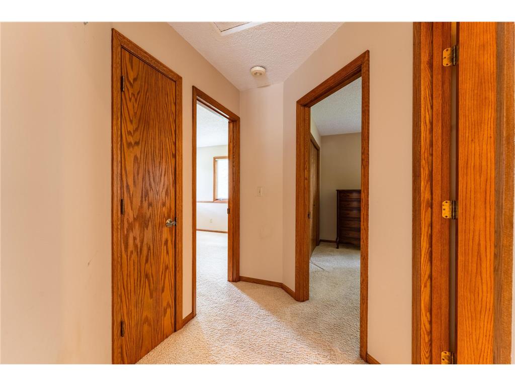 10829 160th Street E Nininger Twp MN 55033 - Vermillion River 7095858 image27