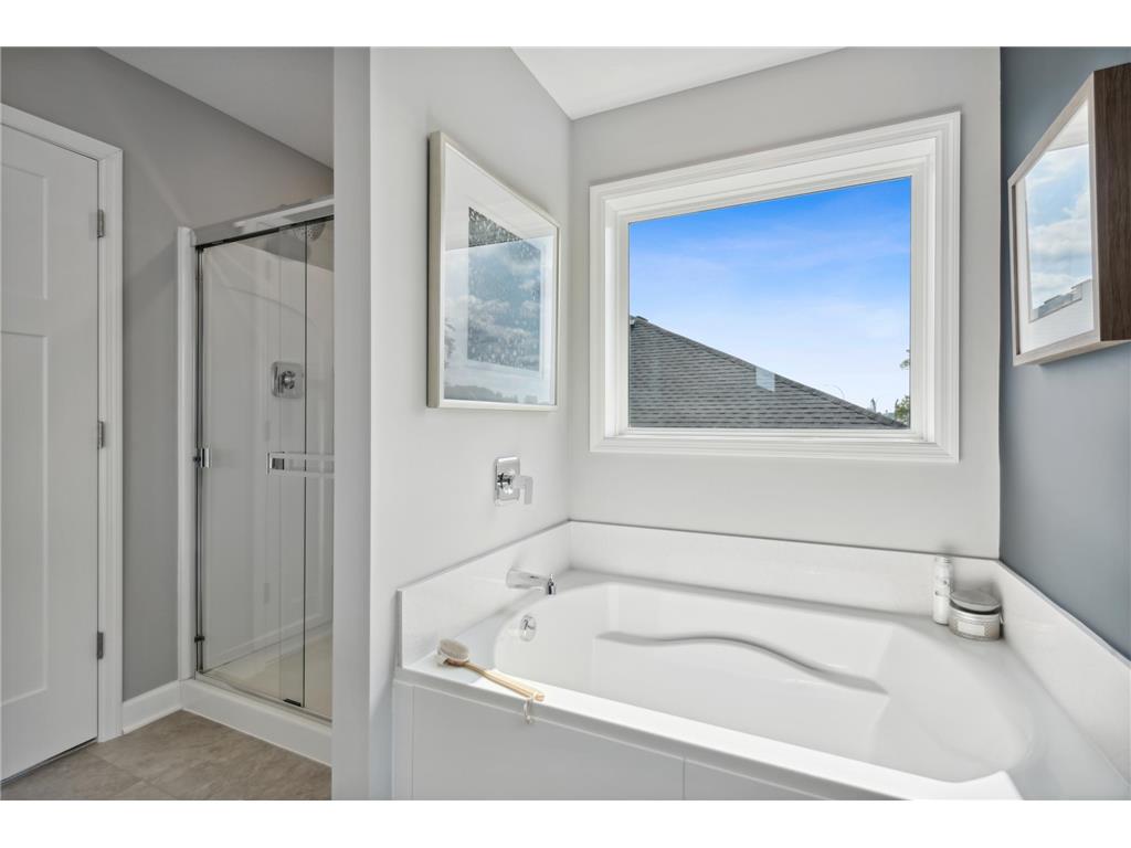 1083 Adamstown Drive Rosemount MN 55068 7081602 image12