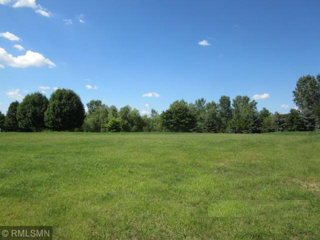 10832 Falling Water Lane Woodbury MN 55129 6092461 image1