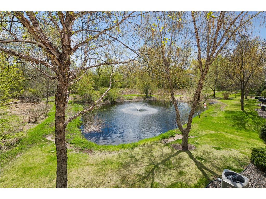 10837 S Shore Drive Plymouth MN 55441 7053533 image26