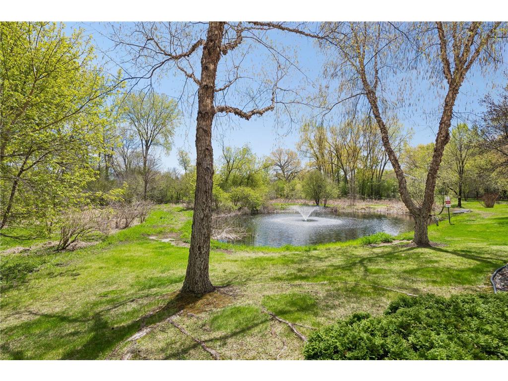 10837 S Shore Drive Plymouth MN 55441 7053533 image27