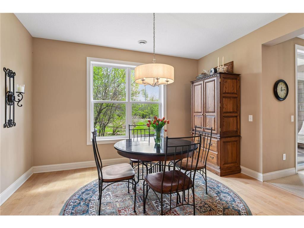 10837 S Shore Drive Plymouth MN 55441 7053533 image7