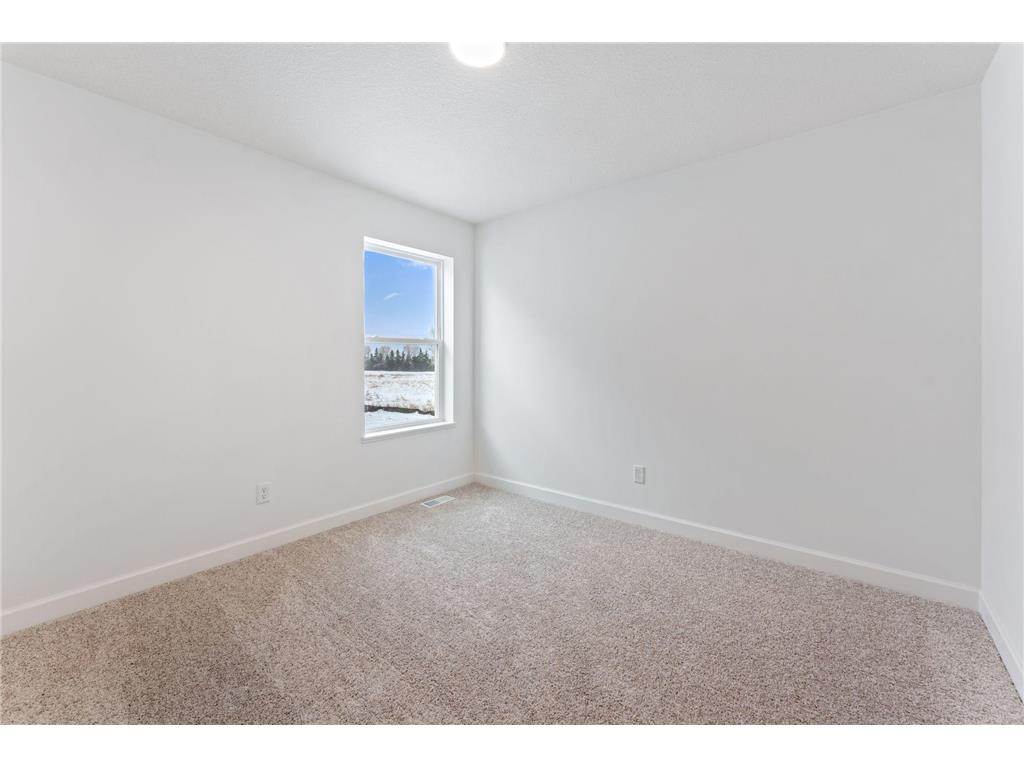 10840 Hemingway Avenue S Cottage Grove MN 55016 6816486 image12