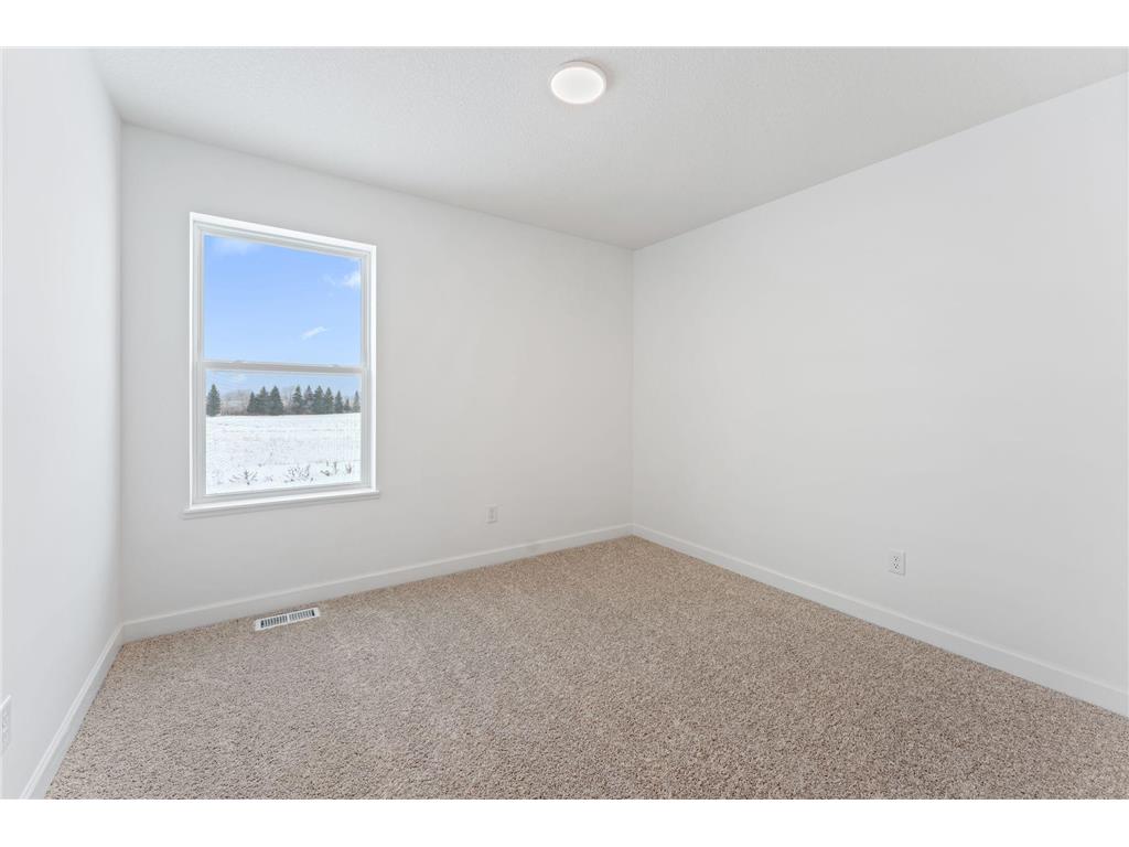 10840 Hemingway Avenue S Cottage Grove MN 55016 6816486 image13