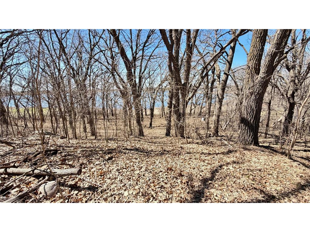 10847 Bankers Lane Tumuli Twp MN 56324 - Ten Mile 7055078 image13