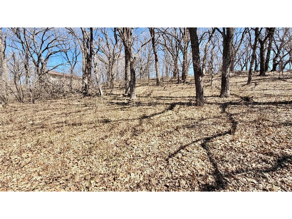 10847 Bankers Lane Tumuli Twp MN 56324 - Ten Mile 7055078 image14