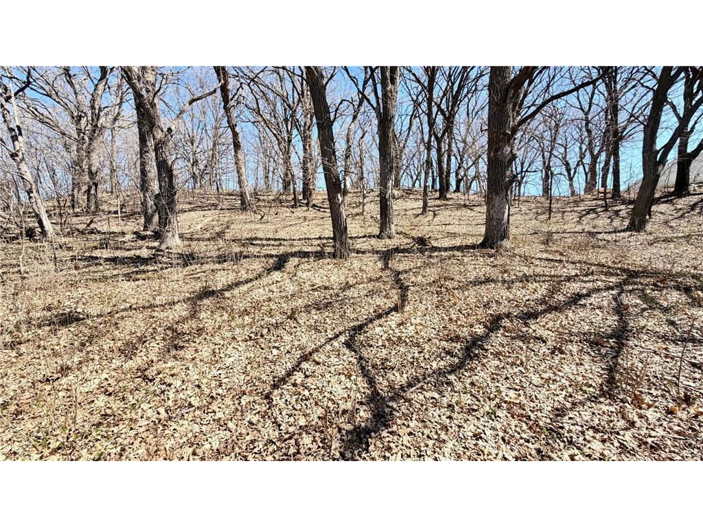 10847 Bankers Lane Tumuli Twp MN 56324 - Ten Mile 7055078 image15