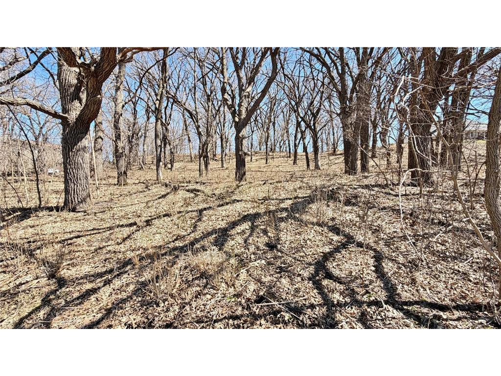10847 Bankers Lane Tumuli Twp MN 56324 - Ten Mile 7055078 image16