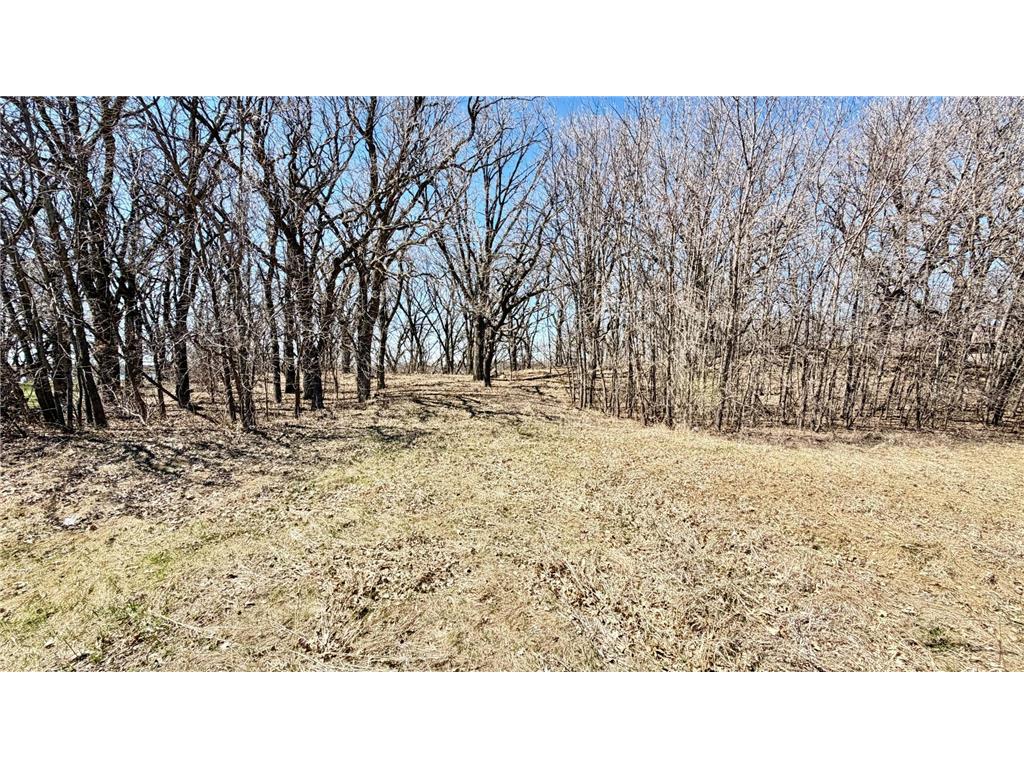 10847 Bankers Lane Tumuli Twp MN 56324 - Ten Mile 7055078 image9