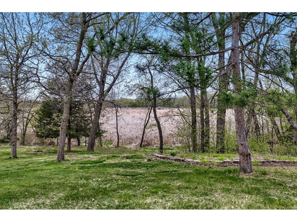 1085 Oak Circle Medina MN 55391 7065040 image34