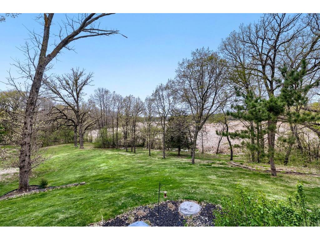1085 Oak Circle Medina MN 55391 7065040 image37