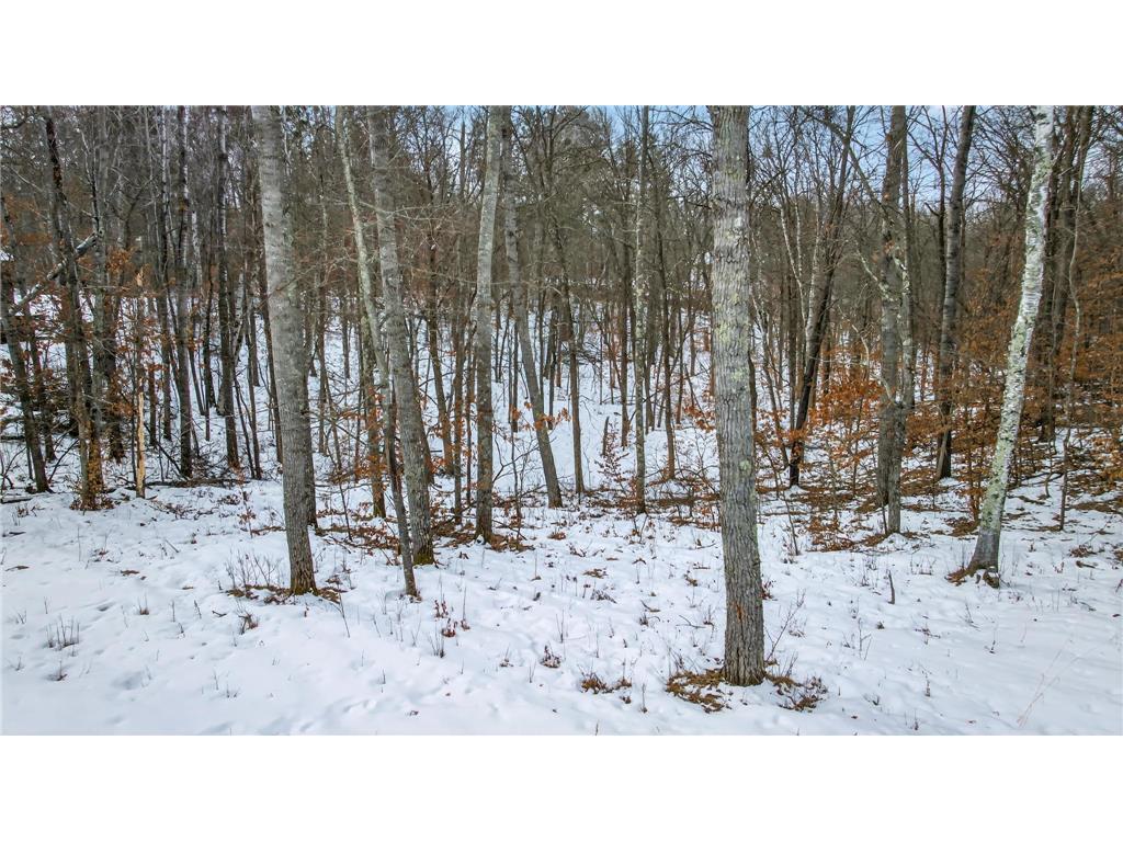 10857 Maya Circle Breezy Point MN 56472 7036512 image40