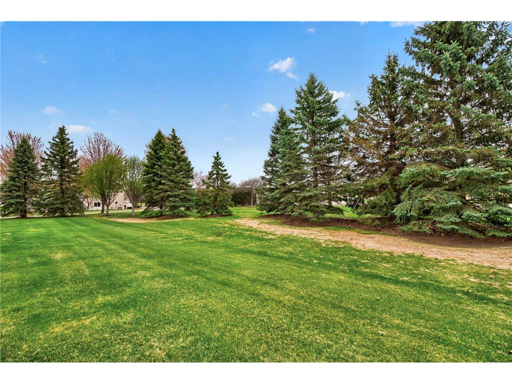 10859 Kingsfield Lane Woodbury MN 55129 7058229 image29