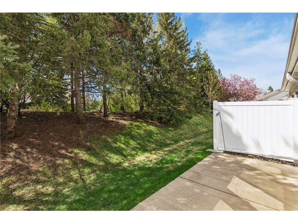10861 Lexington Drive Eden Prairie MN 55344 7065132 image20