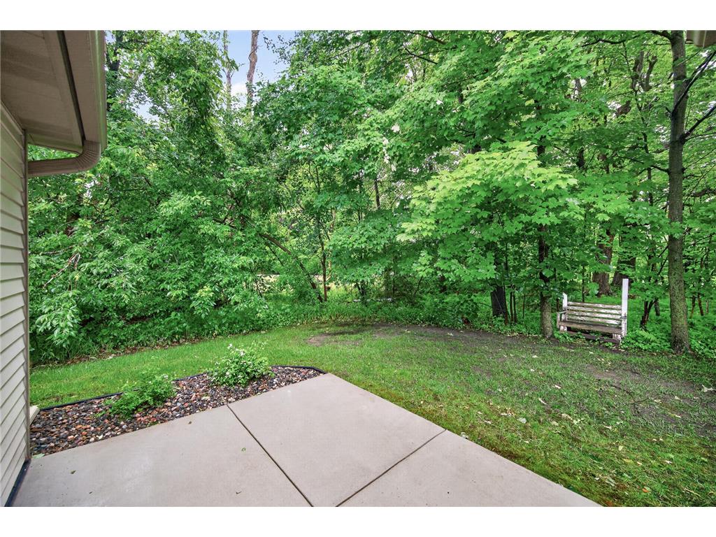 10868 Woodland Drive Chisago City MN 55013 - Green 7096793 image43