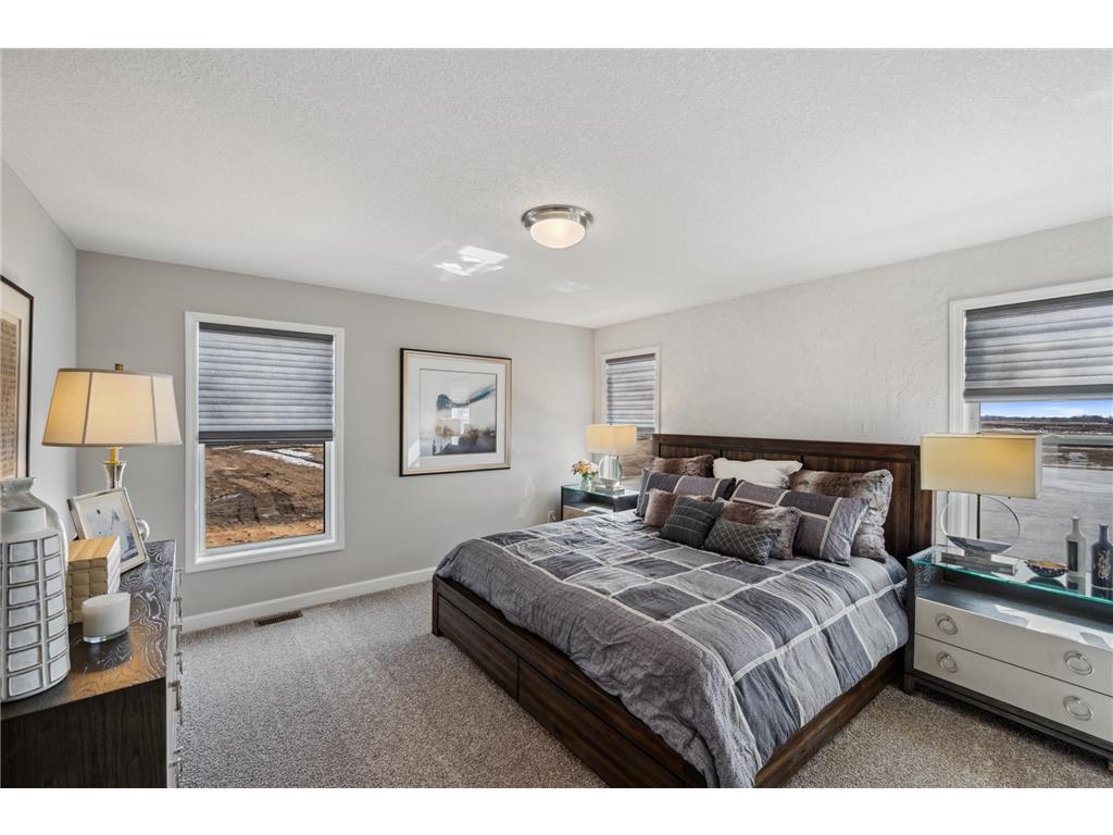 10870 Henslowe Avenue S Cottage Grove MN 55016 7038121 image11