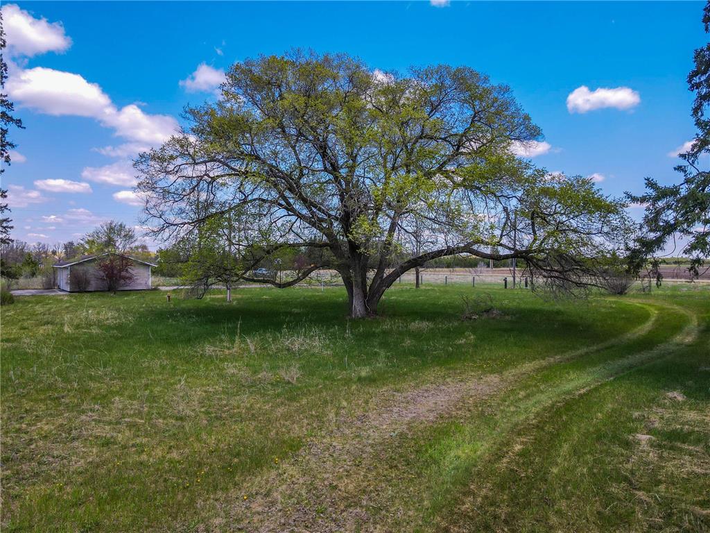 10877 110th Street Menahga MN 56464 7078874 image34